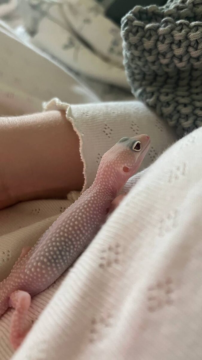 Малыш Дисней