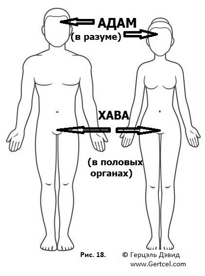 Адам и Хава в теле человека (после грехопадения)