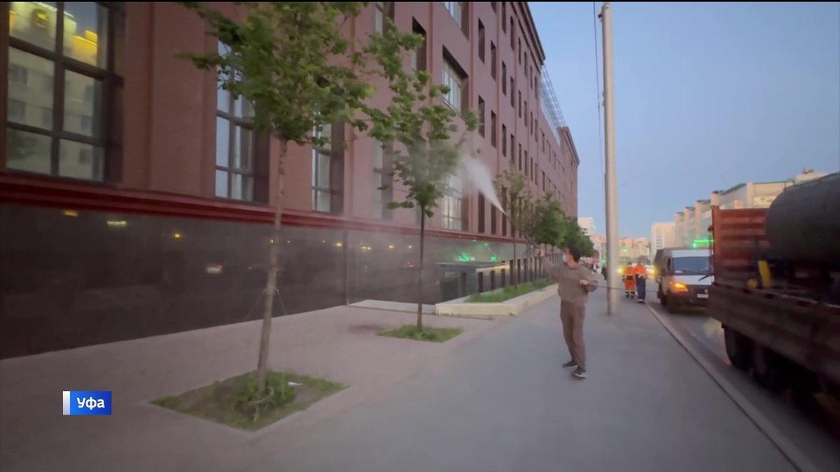    В Уфе начали обработку молодых деревьев, высаженных в прошлом году