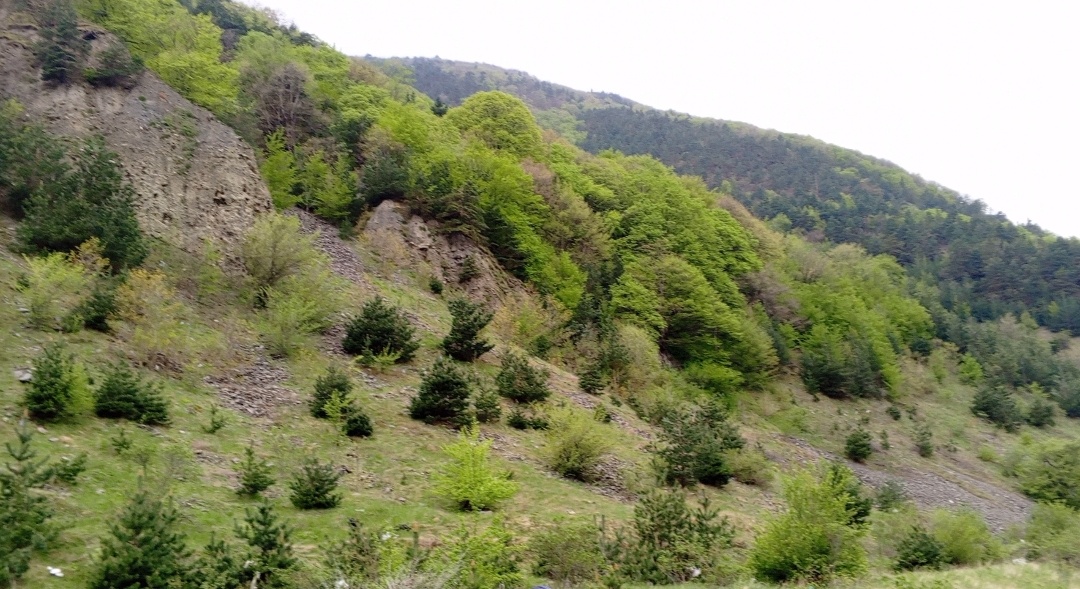 Фото авторов