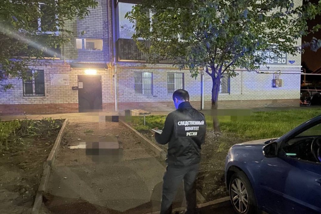    Фото © Telegram / СУ СК России по Ставропольскому краю