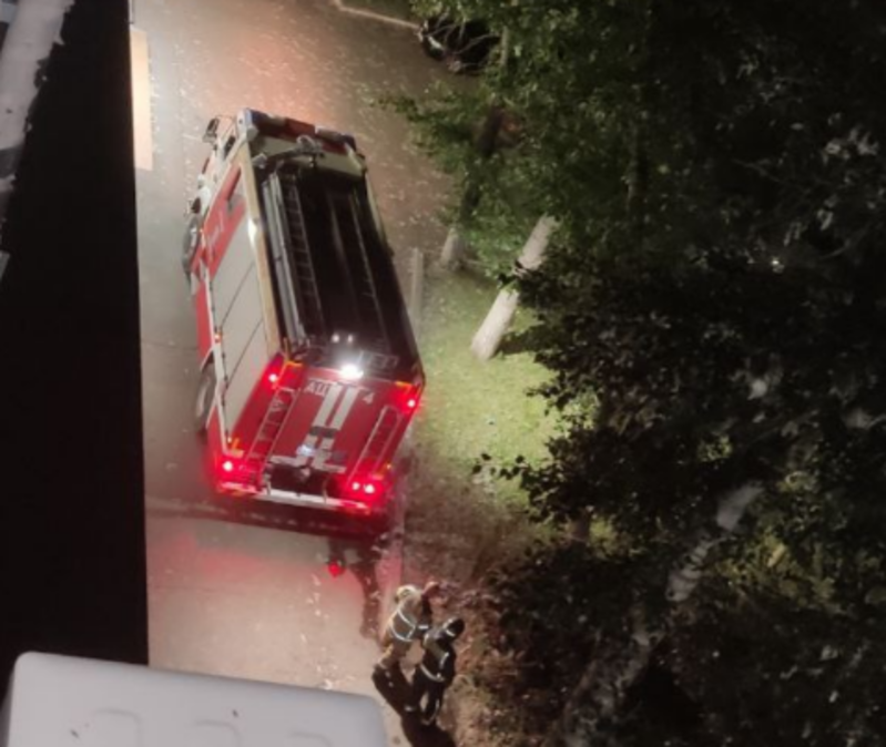    В Оренбурге из-за тополиного пуха и спиленных веток чуть не произошел пожар. Комментарий УК