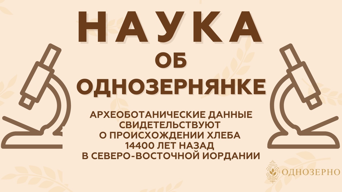 Amaia Arranz-Otaeguia,1, Lara Gonzalez Carreterob, Monica N. Ramseyc, Dorian Q. Fuller (傅稻镰)b, and Tobias Richtera
aDepartment of Cross-Cultural and Regional Studies, University of Copenhagen, 2300 Copenhagen, Denmark; bInstitute of Archaeology, University College London, WC1H 0PY London, United Kingdom; and cMcDonald Institute for Archaeological Research, University of Cambridge, CB2 3ER Cambridge, United Kingdom

Под редакцией Dolores R. Piperno, Smithsonian Institution, Washington, DC, утверждена 12 июня 2018 (поступила на рецензирование 19 января 2018)
