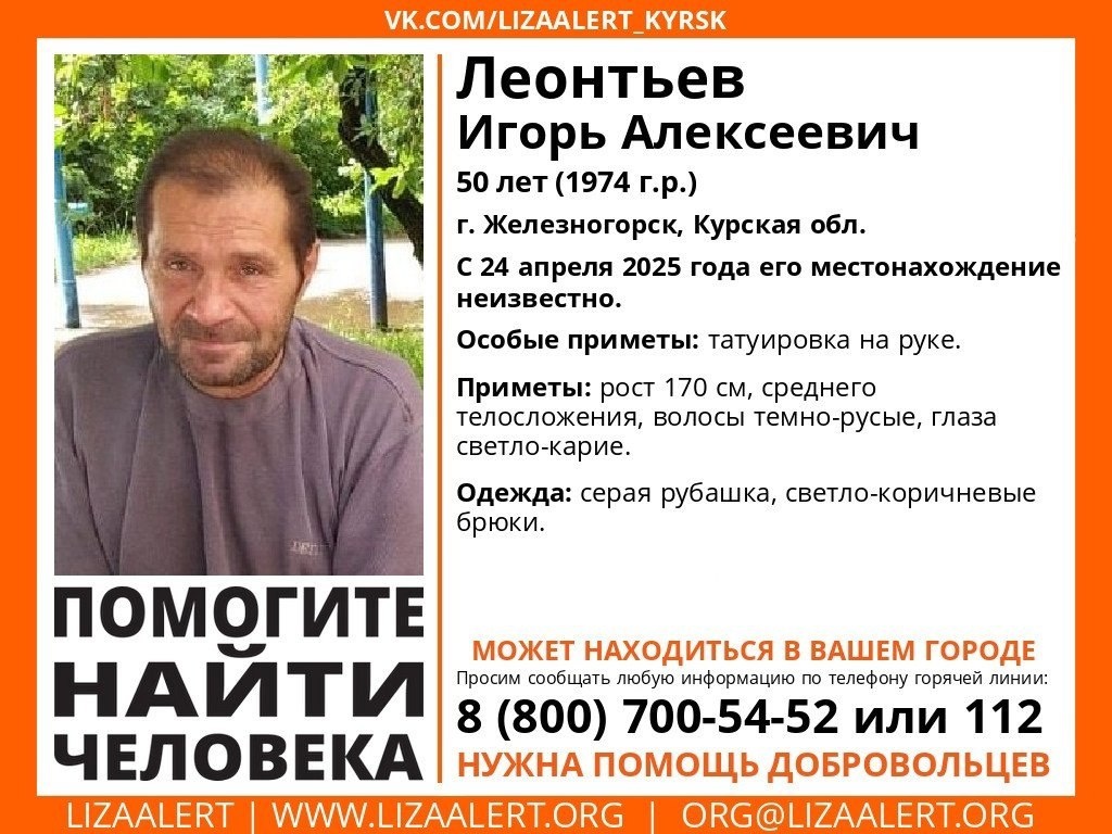 Фото: «Лиза Алерт Курск»