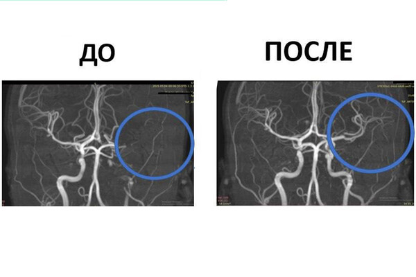 Министерство здравоохранения Московской области 