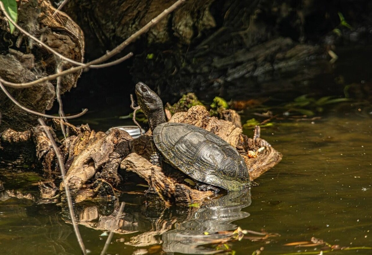     Источник: страница Виктории Зеленковой