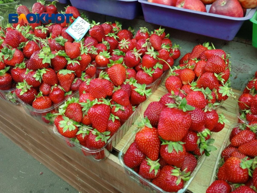 Фото: «Блокнот Краснодар"

