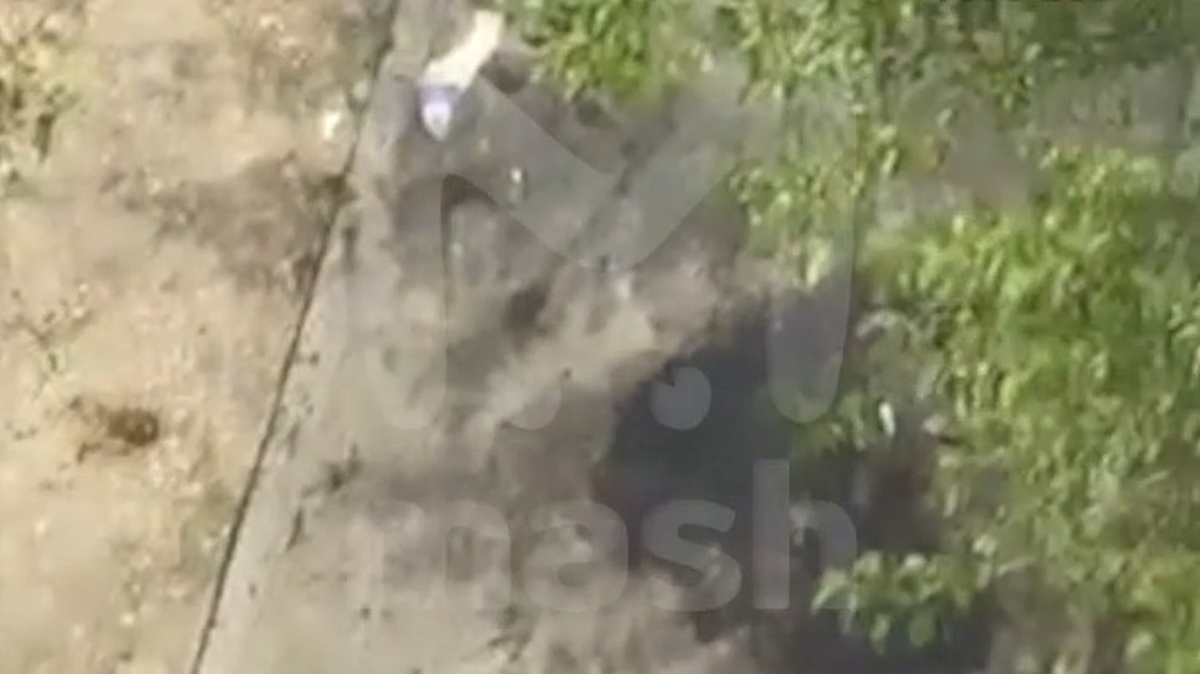    Фото: Mash / Telegram / скриншот