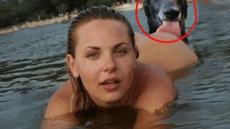 Нравится Формат? Поддержи Канал Лайком и напиши какой эпизод понравился больше всех Другие наши статьи:
