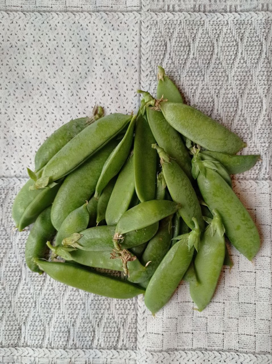 И скромный сентябрьский урожай. 