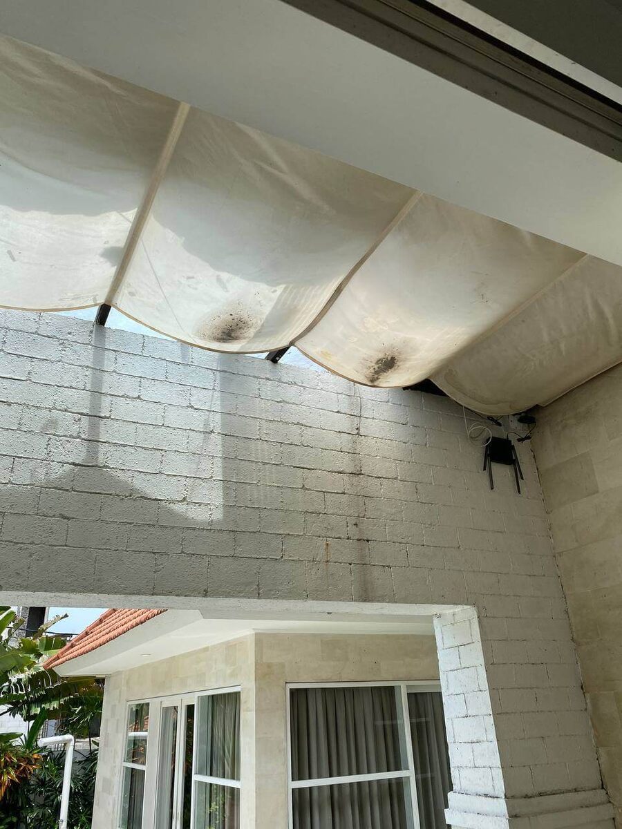 Плесень появляется повсюду, и бороться с ней тяжело