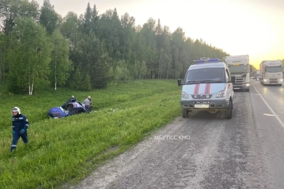    Три человека пострадали в ДТП с лосем и легковым авто в Пермском крае