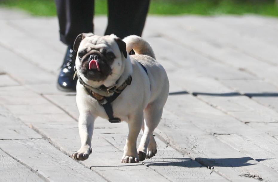    Алексей Белкин/NEWS.ru