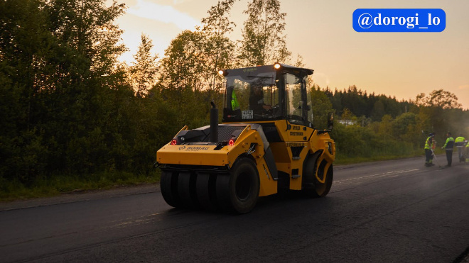 Фото: Dorogi_lo/telegram