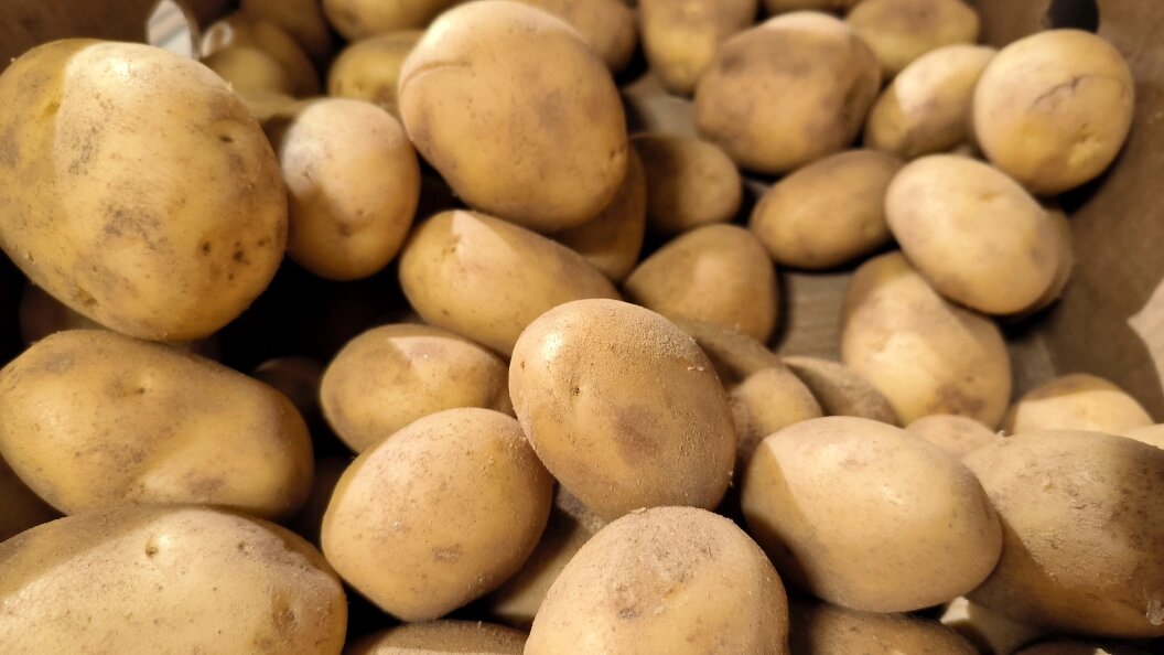    Maksim Konstantinov/Globallookpress