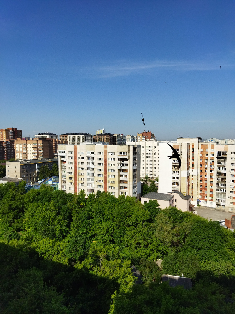 ФОТО АВТОРА