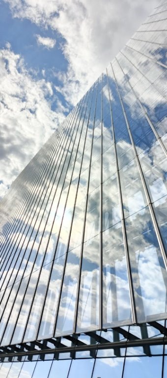 Фото: Ирина Плешатова. https://vk.cc/cMo2Id