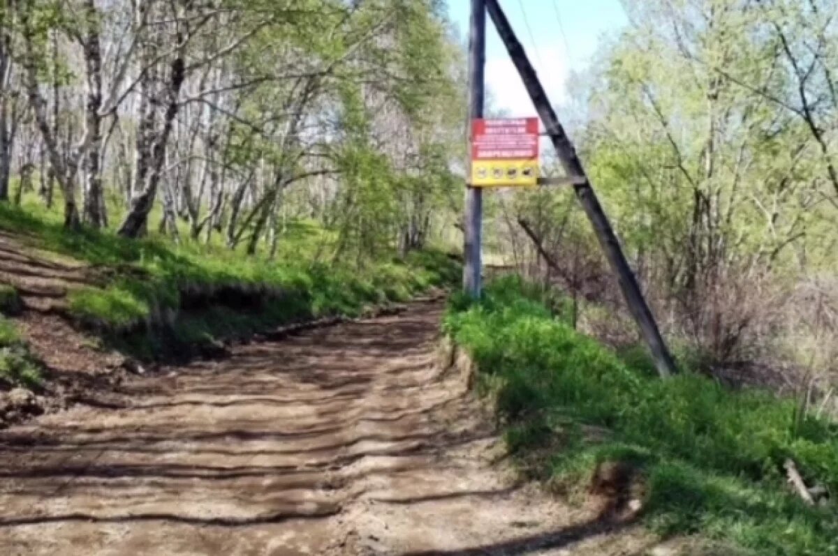    В Елизове восстановили лыжную базу, разрушенную вандалами