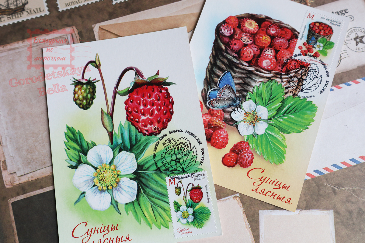 На карточки нанесен офсетный лак с ароматом лесной земляники.