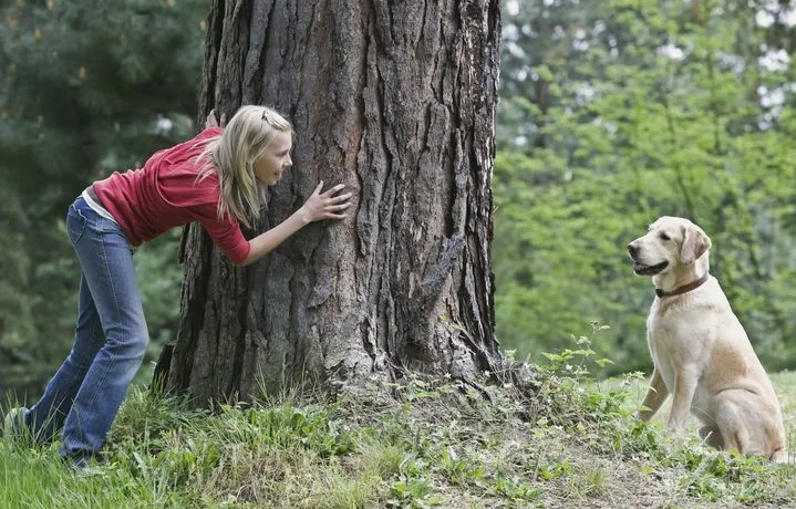 Фото с сайта ru.pinterest.com