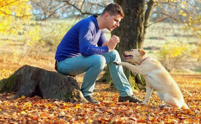 Фото с сайта ru.pinterest.com