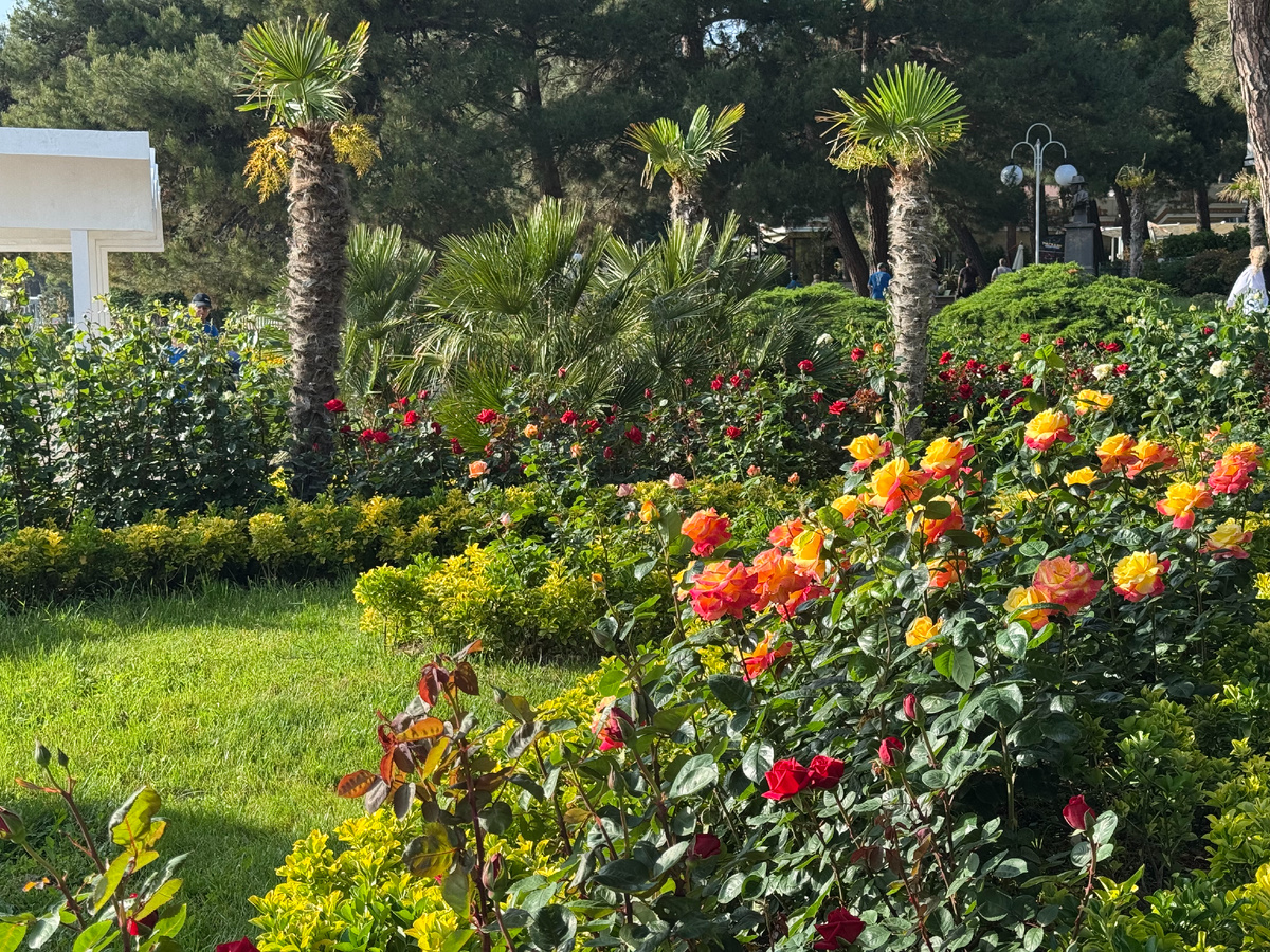 Фото автора