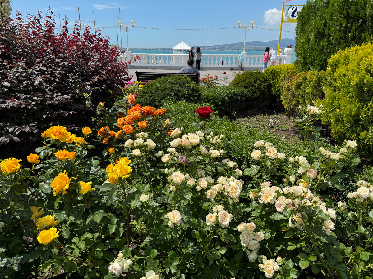 Фото автора