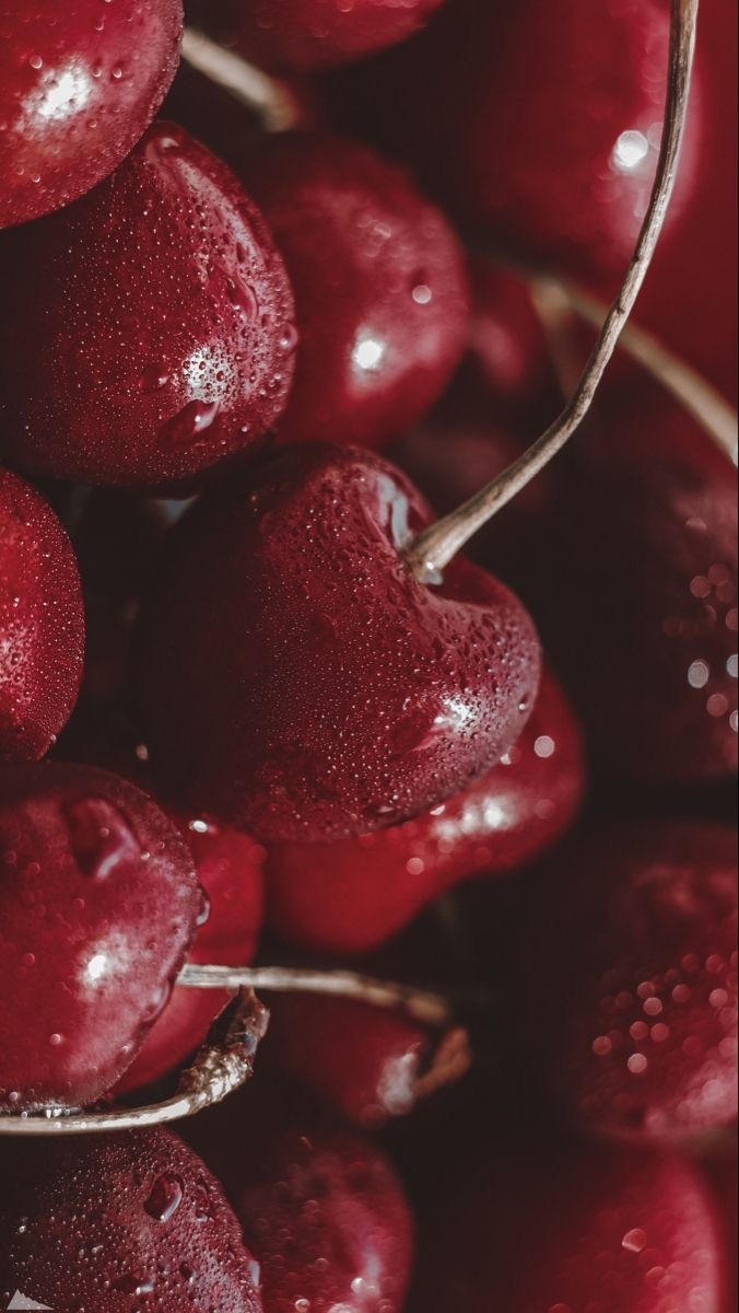 Мы устаём не только от стрессовому жизни, а еще от того, что наше восприятие стало чувствительным на новом уровне. 

Мы постоянно на приёме информации, постоянно в пропуске, мы открылись внешнему пространству как никогда раньше. Естественно, тело испытывает усталость. 
И это не всегда астения или болезни. 

Это не только про солнечные вспышки и геомагнитные аномалии. 

Это эволюционный сдвиг, который чувствуют не только люди, но и дети, и животные — все живые существа. У них тоже свой большой заряд  энергии, но и они реагируют истощением. 

Мы пробуждаемся. Мы открываем в себе органические способности, которых раньше просто не знали люди. И теперь, когда контакт с внешним стал активным и постоянным, нам жизненно важно уметь себя поддерживать, восстанавливать, «подключаться к зарядке». Не механически, а живо, осознанно.

Состояние азарта, вдохновения, энергии раньше держалось месяцами. Сегодня — хорошо, если пару дней. Потому что мы не просто живём — мы взаимодействуем с очень сильными внешними потоками. И пока это стресс. Мы не привыкли. И не привыкнем. Всё будет только ускоряться. 
Мы не сможем стать «готовыми», но мы можем стать открытыми. Готовность — это иллюзия. А вот открытость — это адаптация. Это способность входить в новый ритм жизни. И в этом ритме каждый человек должен найти свой способ входить в контакт с собой. Это может быть спорт. Прогулка. Медитация. Творчество. Или просто диалог с собой. Это не ежедневный список дел. Это разные двери, через которые можно войти в собственное состояние баланса. Кому-то ближе движение, кому-то — музыка, кому-то — внутренний разговор. Важно не форма, а то, что ты через неё входишь в свою настройку. В свою правду.