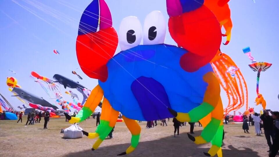 Фото: © Кадр из программы "Невероятно интересные истории", РЕН ТВ