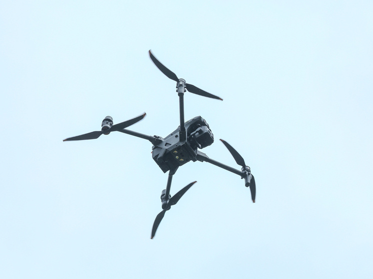 Petrov Sergey/news.ru/Global Look Press
