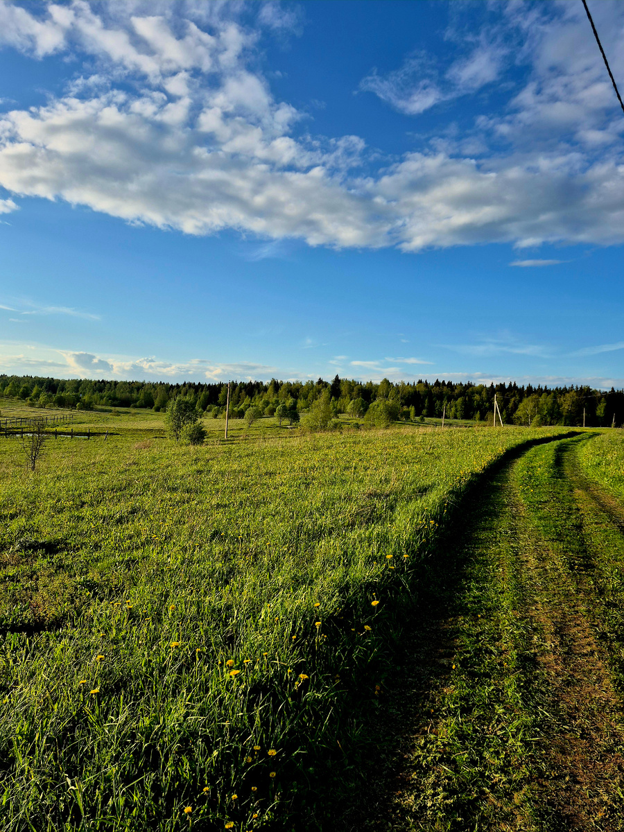 Наше поле в хорошую погоду