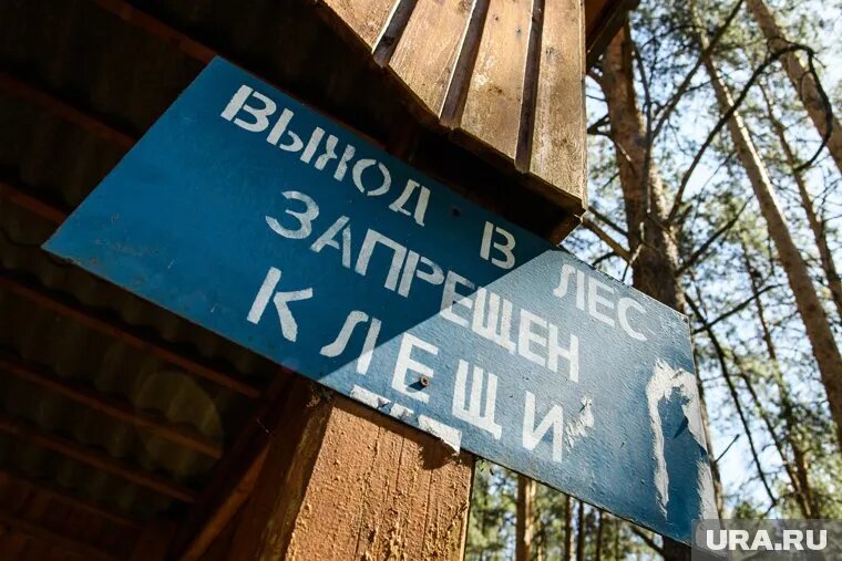 В ХМАО за минувшую неделю зарегистрировано 535 присасываний. Фото: Владимир Жабриков © URA.RU