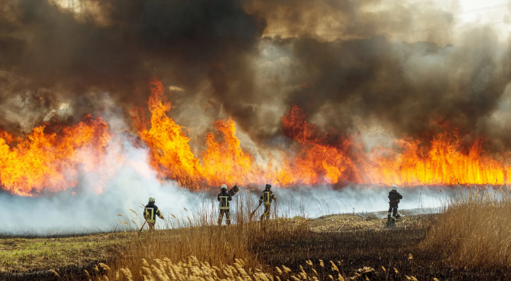 Одной из причин являются удары молний, но большинство лесных пожаров, угрожающих населенным пунктам, вызваны деятельностью человека. Источник: DepositPhotos