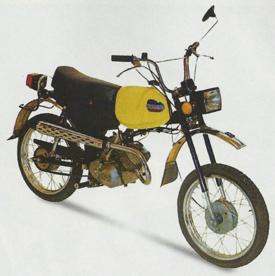 Карпаты (первая версия)