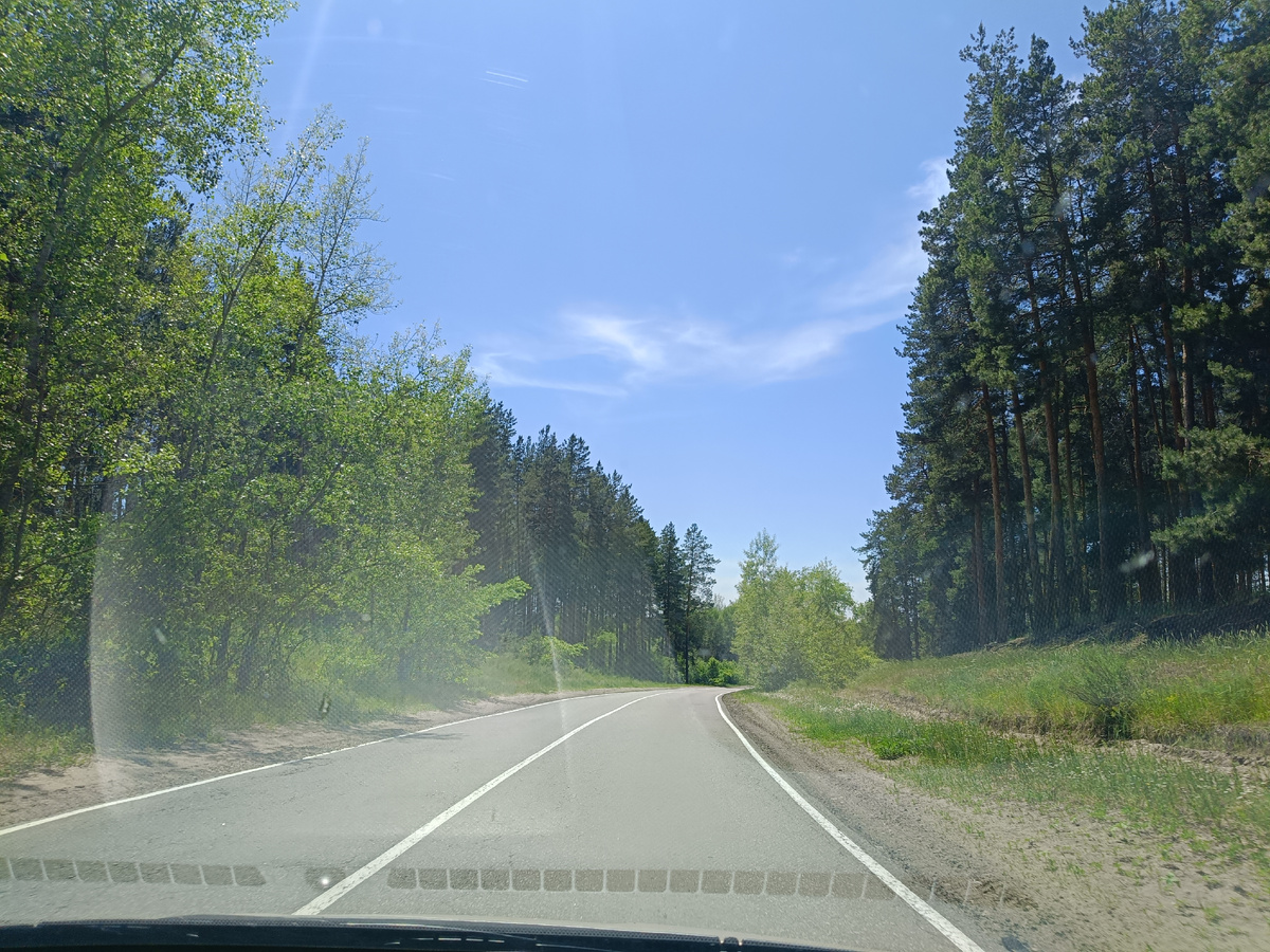 Дорога через лес