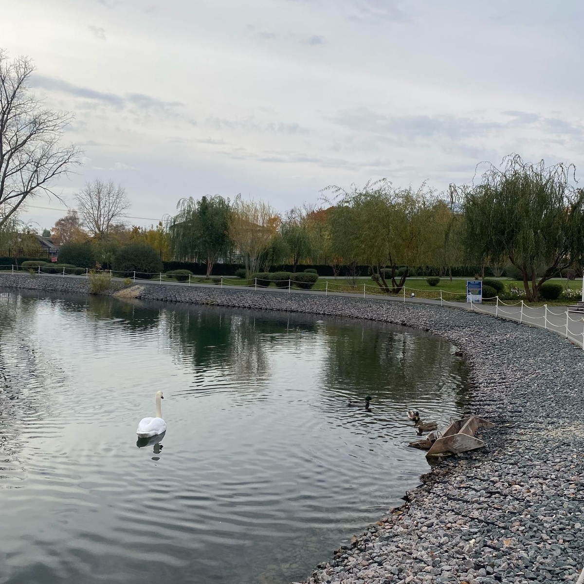    Фото: архив progorod