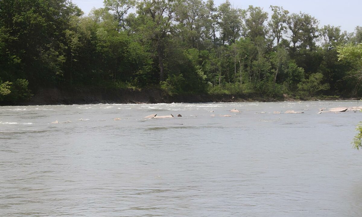    Фото t.me/mvd01ra