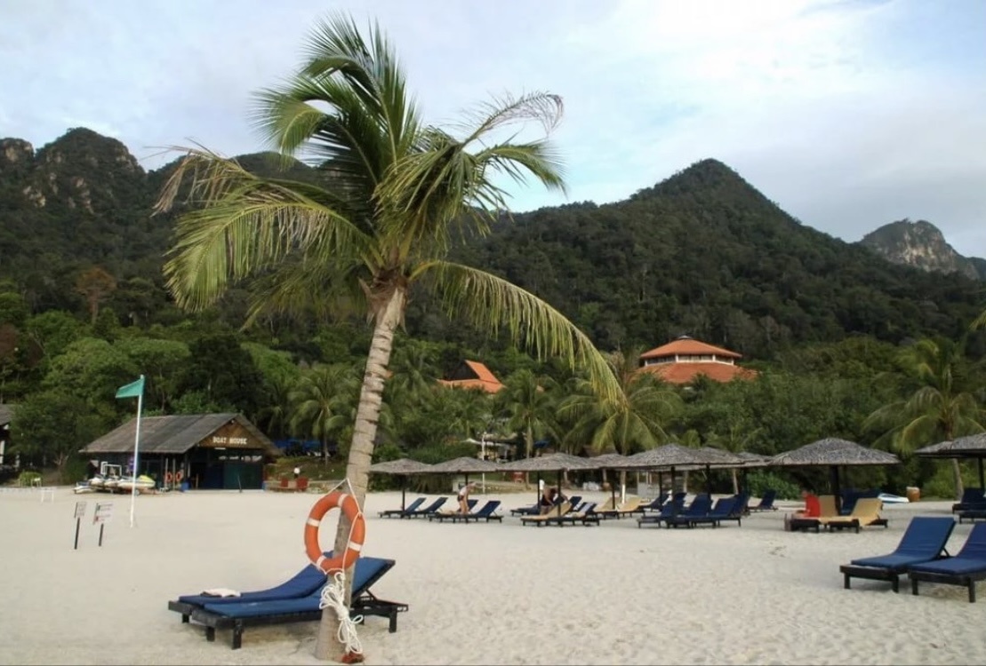 Фото из интернета 