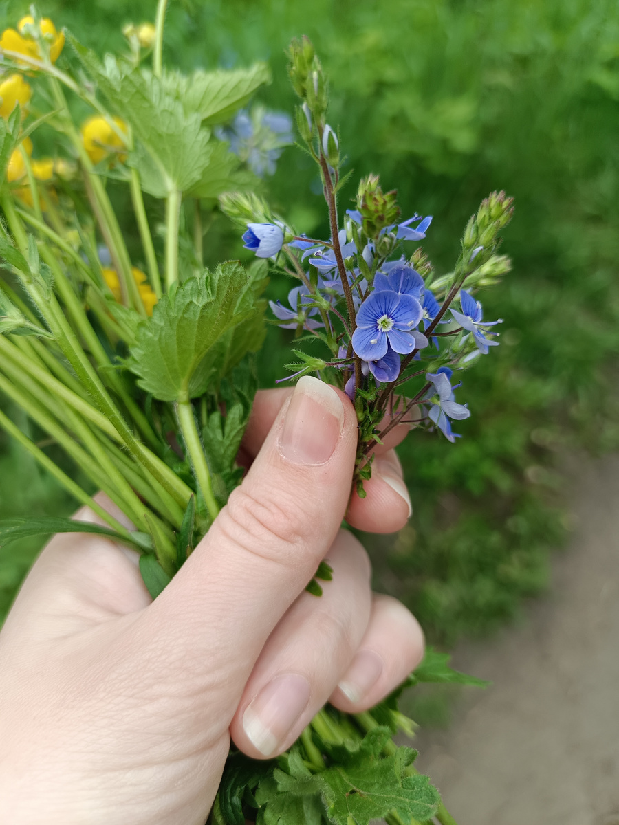 Когда вышел погулять