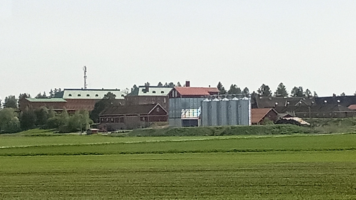 Территория нашего приёмного центра, вид из окна рейсового автобуса