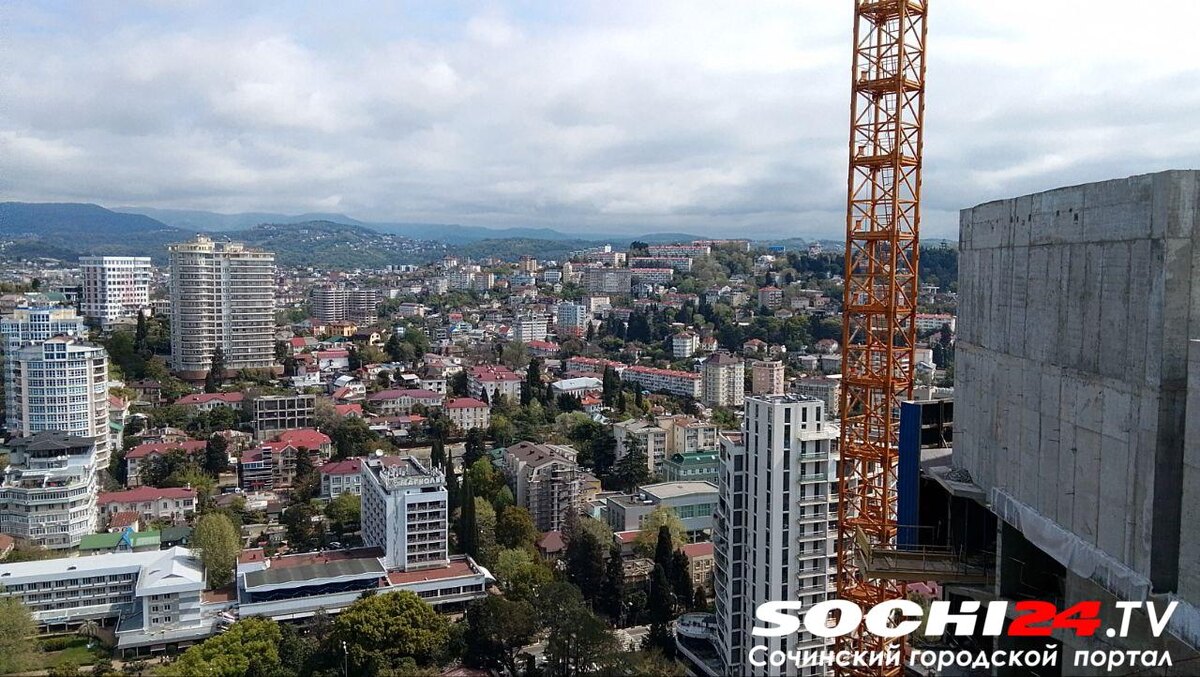 фото: Сочи 24  📷
