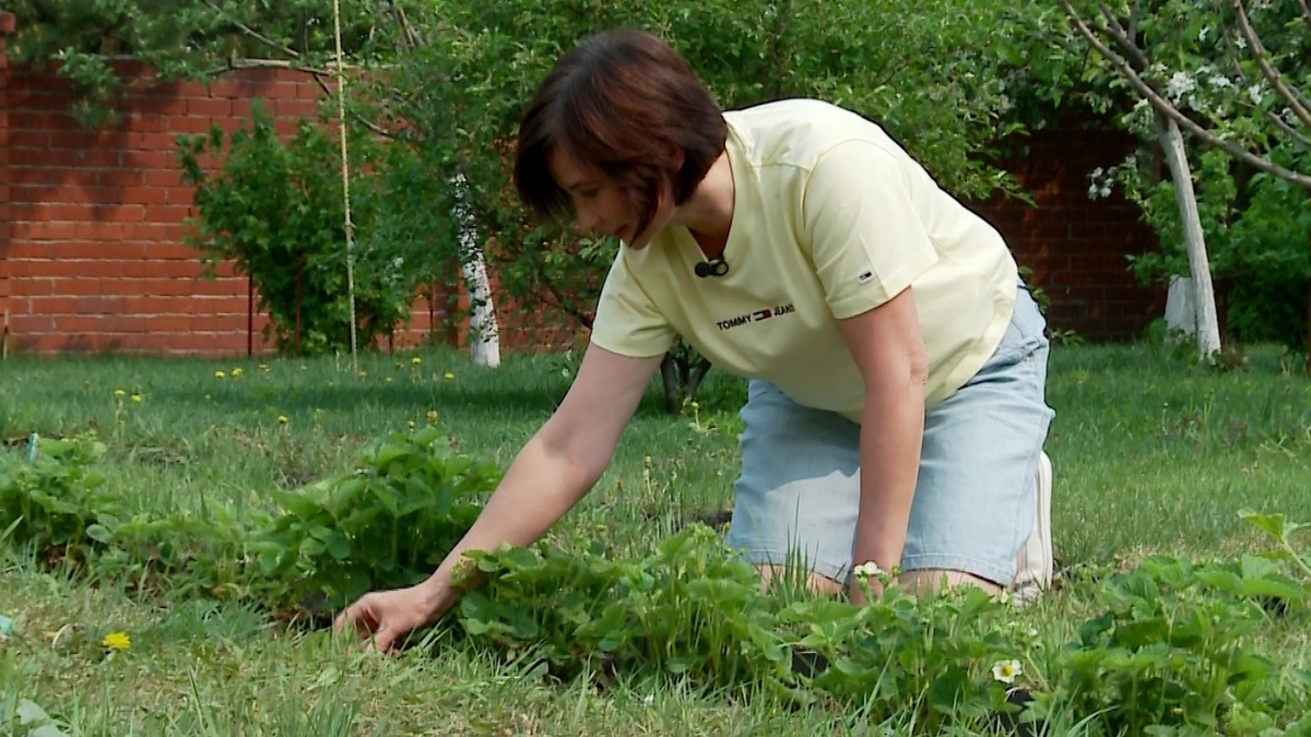 Как не остаться без спины после выходных на даче 