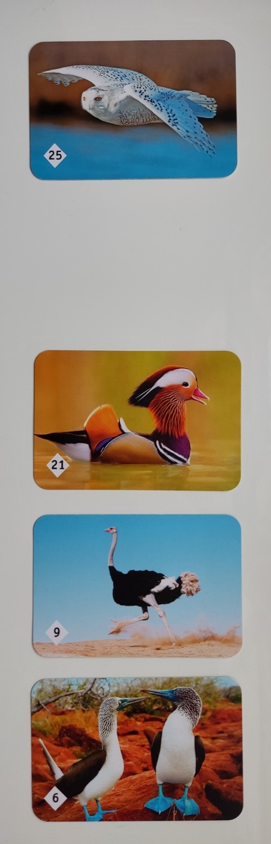 Одна карточка исчезла 