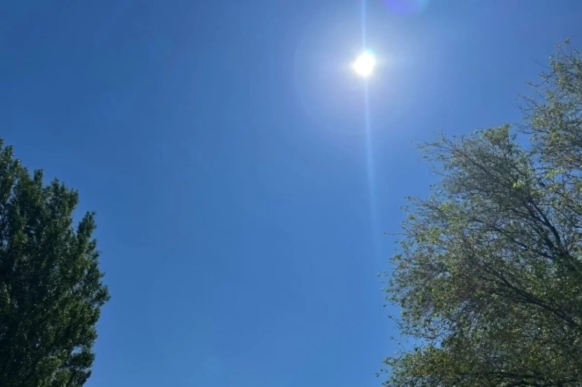    29 мая во Владимирской области ожидается 28-градусная жара