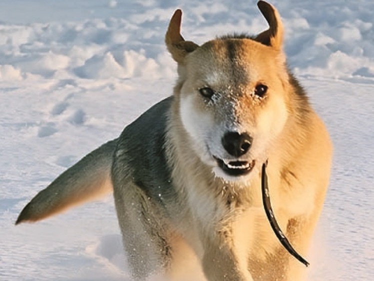     Фото Антон Адаев