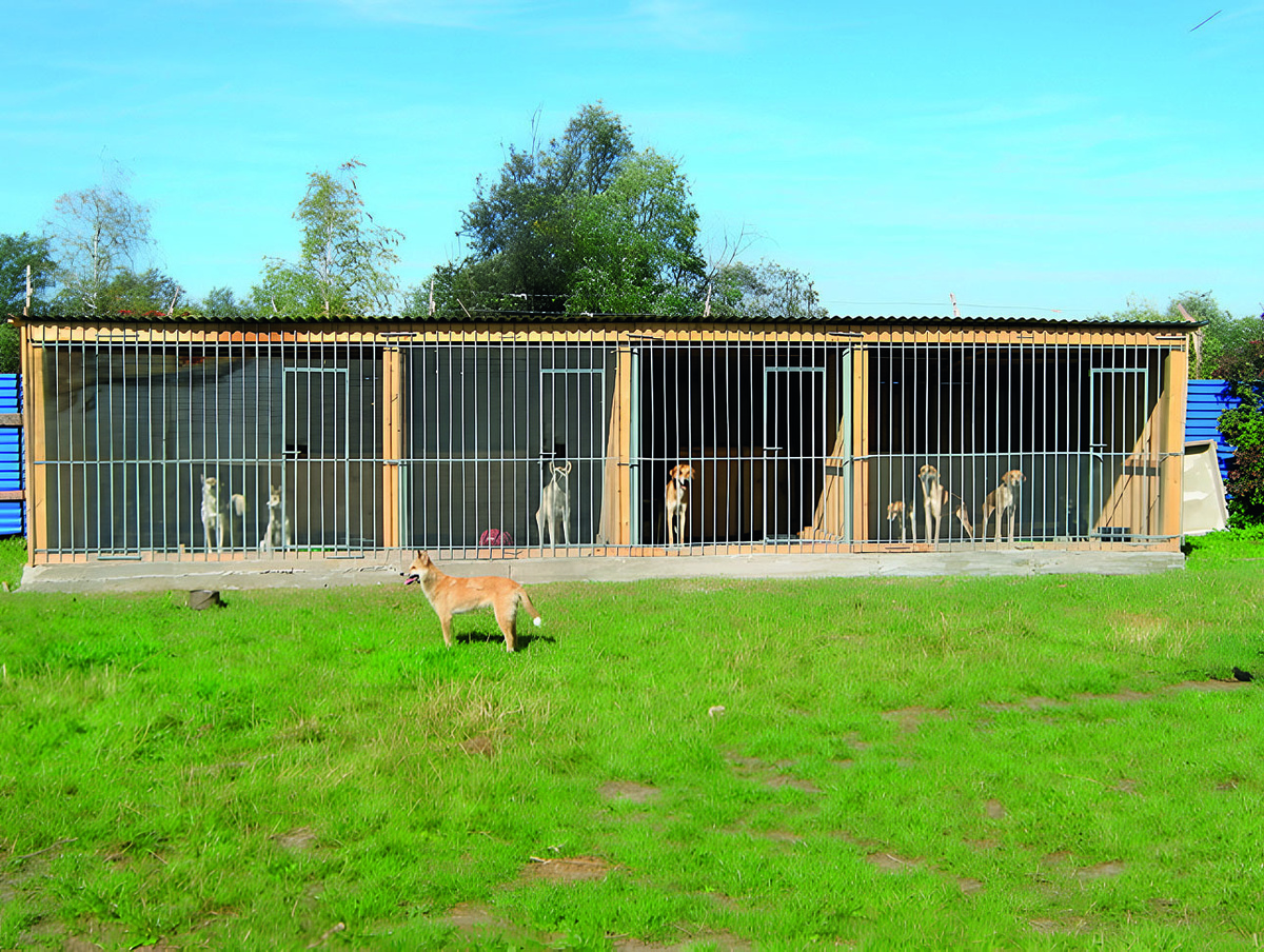     Фото Антон Адаев