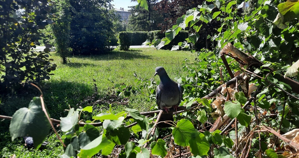 Народные приметы на 30 мая: кому достаток принесет картошка и почему опасно есть огурцы