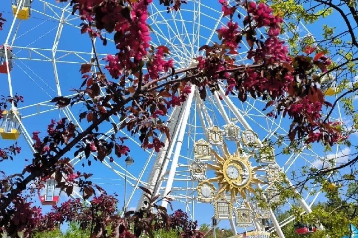    На Цветном бульваре 1 июня аттракционы будут стоить 10 рублей
