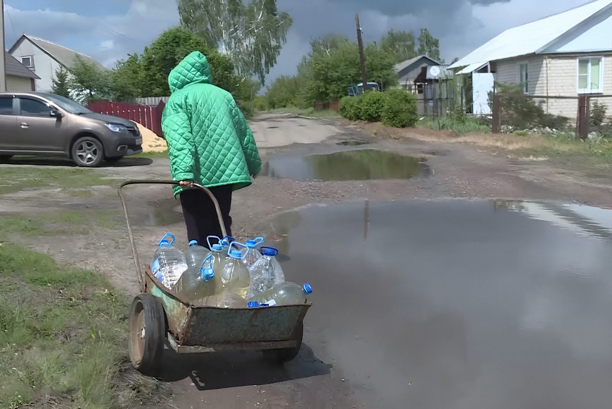 Фото «Вести-Курск»