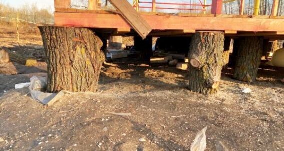 Фундамент из пней